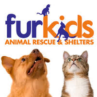 As a sponsor, you will help provide care and support for a homeless pet (like lottie). Furkids Animal Rescue Shelters Linkedin