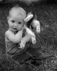 Cocuk Kedi Goruntuler Ile Kedi Hayvan Hayvanlar