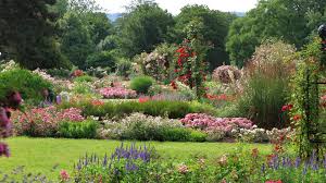 Gegründet wurde unser unternehmen 2005 von gerhard seitz, dem vater des heutigen inhabers. Garten Und Landschaftsbauer Erfurt Ziwo Garten Und Landschaftsbau Weimar Eisenach