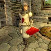 Knights of the nine is identical to the gameplay of oblivion; Oblivion Knight Of The Nine The Unofficial Elder Scrolls Pages Uesp