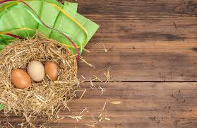 Please do not solely rely on the information provided on this website. How To Sell Backyard Chicken Eggs The Happy Chicken Coop