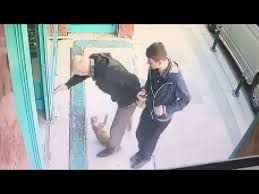 Sosyal Medyada Fenomen Olan Kedi Bayrampasa Da Cikti Youtube
