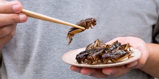 Although some argue that the increasing integration of financial markets between countries leads to more some industries, or at least components of some industries, are vital to national security and possibly may need to be. Insect Farming Ultimate Guide And Examples Grocycle