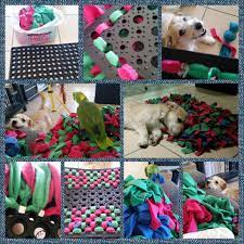 Making A Snuffle Mat Speelgoed Honden Huisdier Honden Hondenspeeltjes