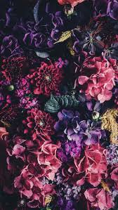 Phone Wallpaper Floral Handyhintergrundbild Blumen Flower Phone Wallpaper Flowery Wallpaper Flower Background Wallpaper