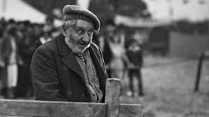 Owd Bob (1938) - Trailer, Cast & Reviews - Mabumbe