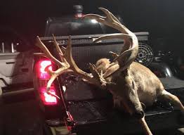 Bontrager whitetails mission—breed and raise whitetail deer to reach their genetic potential for trophy hunts or breeding stock. Giant 23 Point Florida Buck Poached