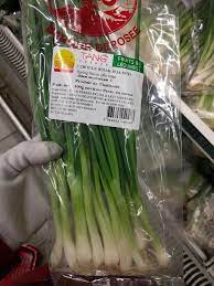 Tout Savoir Sur L Allium Fistulosum Peko Peko
