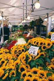 Columbia Road Flower Market The Londoner Columbia Road Flower Market Flower Market Planting Flowers