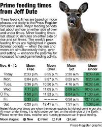 feeding times basics to get the most out of the moons