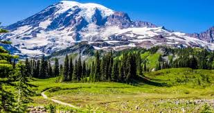Some of the most popular types of these activities include. 25 Fun Things To Do In Washington With Kids Of All Ages
