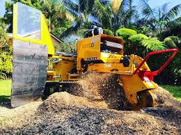 Maybe you would like to learn more about one of these? Stump Removal Sydney Rennie Bros Tree Removal
