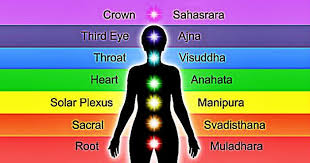 Spiritual Unite Find Your Pleiadian Sirian Arcturian Starseed And Numerology Predictions Spirituality Chakra Spiritual Health
