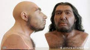 A neanderthal, homo sapiens neanderthalensis or homo neanderthalensis, is a member of a species of extinct hominid of which many fossils have been found. Neanderthals Live On In Modern Man Science In Depth Reporting On Science And Technology Dw 07 05 2010