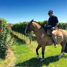 O narrador galvão bueno e o técnico felipão não estão mais amigos. Conheca O Versatil Fazendeiro Galvao Bueno Compre Rural