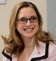 Meet the Genesee County candidates running for Michigan House and Senate