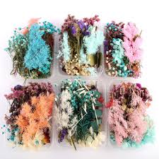 Bulk buy quality dry flower at wholesale prices from a wide range of verified china manufacturers & suppliers on globalsources.com. China Fresh Flower Bulk China Fresh Flower Bulk Manufacturers And Suppliers On Alibaba Com