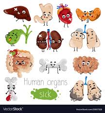 Human Sick Organs Cartoon Character Set Broken Bone Lungs Gallbladder Stomach Liver Thyroid Heart Kidneys Brain Intestine Isolated Vector Ill Ilustrasi