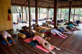 We did not find results for: Top 10 Yoga Centers In India Sheroes