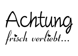 Autoaufkleber Spruche Achtung Frisch Verliebt