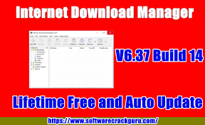 Idm internet download manager is an imposing application which can be used for downloading the multimedia content from internet. Idm Internet Download Manager 6 37 Build 14 Free Download Working 100