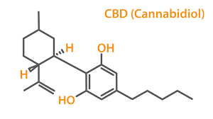 Cbd Oil For Chf The Ultimate Guide To Hemp Cbd Results
