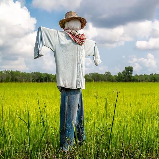 BUILD A SCARECROW DAY - July 5, 2026 - National Today