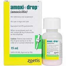 Used to treat bacterial infections: Purchase Amoxi Drop For Dogs Amoxi Drop For Cats At The Best Price