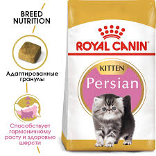 We did not find results for: Kupit Suhoj Korm Royal Canin Persian Kitten Na Oficialnom Sajte