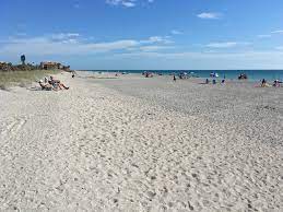 Maybe you would like to learn more about one of these? Turtle Beach Florida Wikipedia