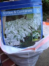 We would like to show you a description here but the site won't allow us. Flower Delivery Plano Tx 75075 My Blog