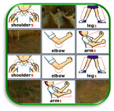 Resultat d'imatges de the body memory game online