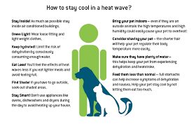 An excessive heat warning is a notice issued by the national weather service of the united states within 12 hours of the heat index reaching one of two criteria levels. Heat Wave Information Natural Disaster Guide Direct Energy