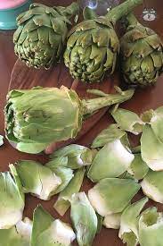 While you rinse them, open up the leaves a little so that the water. How To Clean Artichoke Flowers Airinie