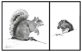 The Sociable Gray Squirrel The Outside Story