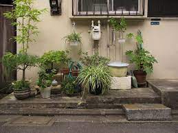 The Tokyo Potted Gardens 473 Garden Pots Small Garden Small Japanese Garden