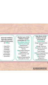 Pin On Pharmacology Modern