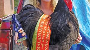 Purebred poultry auction something to crow about