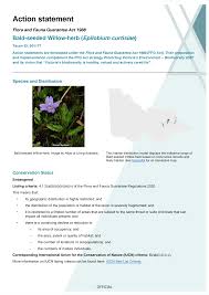 Image result for Priva curtisiae