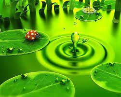 Pin By Landes On Demotyvaciju Kurimui Nature Desktop Wallpaper 3d Nature Wallpaper Nature Wallpaper