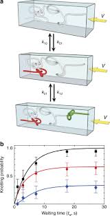 The user must fill one of the two fields and the conversion will become automatically. A Nanofluidic Knot Factory Based On Compression Of Single Dna In Nanochannels Nature Communications