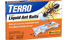 The 7 Best Ant Killers Of 2021