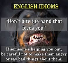 images?q=tbn:ANd9GcSllpkWHLuvLEHPp1Wb8-jplrn-mvA2sXeMT8-ZESOM6HfMAUSO