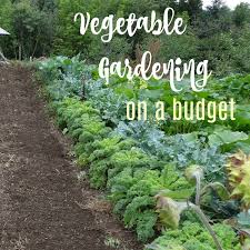 Here are my collection of best questions and… Vegetables Archives The Gardening Cook