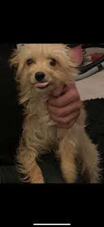 wisbech discussion forum (no rules )