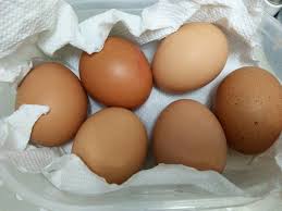 Kalau usaha ternak ayam petelur skala hampir semua usaha ternak ayam telur dijalankan, menggunakan sistem kandang batterai. Simpan Telur Dalam Beras Macam Ni Tahan Lebih Lama Dari Tarikh Expired Impiana