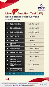 Image result for Liver Function Test