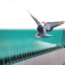 It's a good idea to do this before bird nesting season begins to prevent the. 2 5m Plastic Bird And Pigeon Spikes Anti Bird Anti Pigeon Spike For Get Rid Of Pigeons And Scare Birds Pest Control Garden Netting Aliexpress