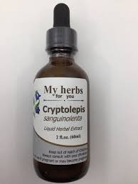 Image result for Cryptolepis products