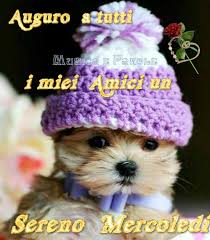 Simpatico Buon Mercoledi Amici Buongiornoate It